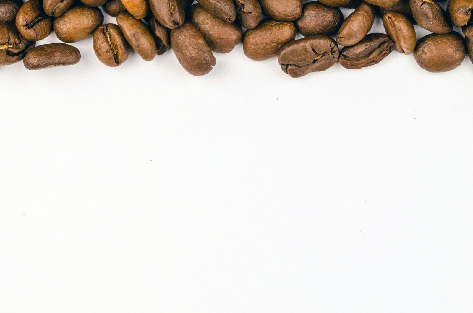 Sustainable Sourcing Talk: From Farm to Cup photo 3
